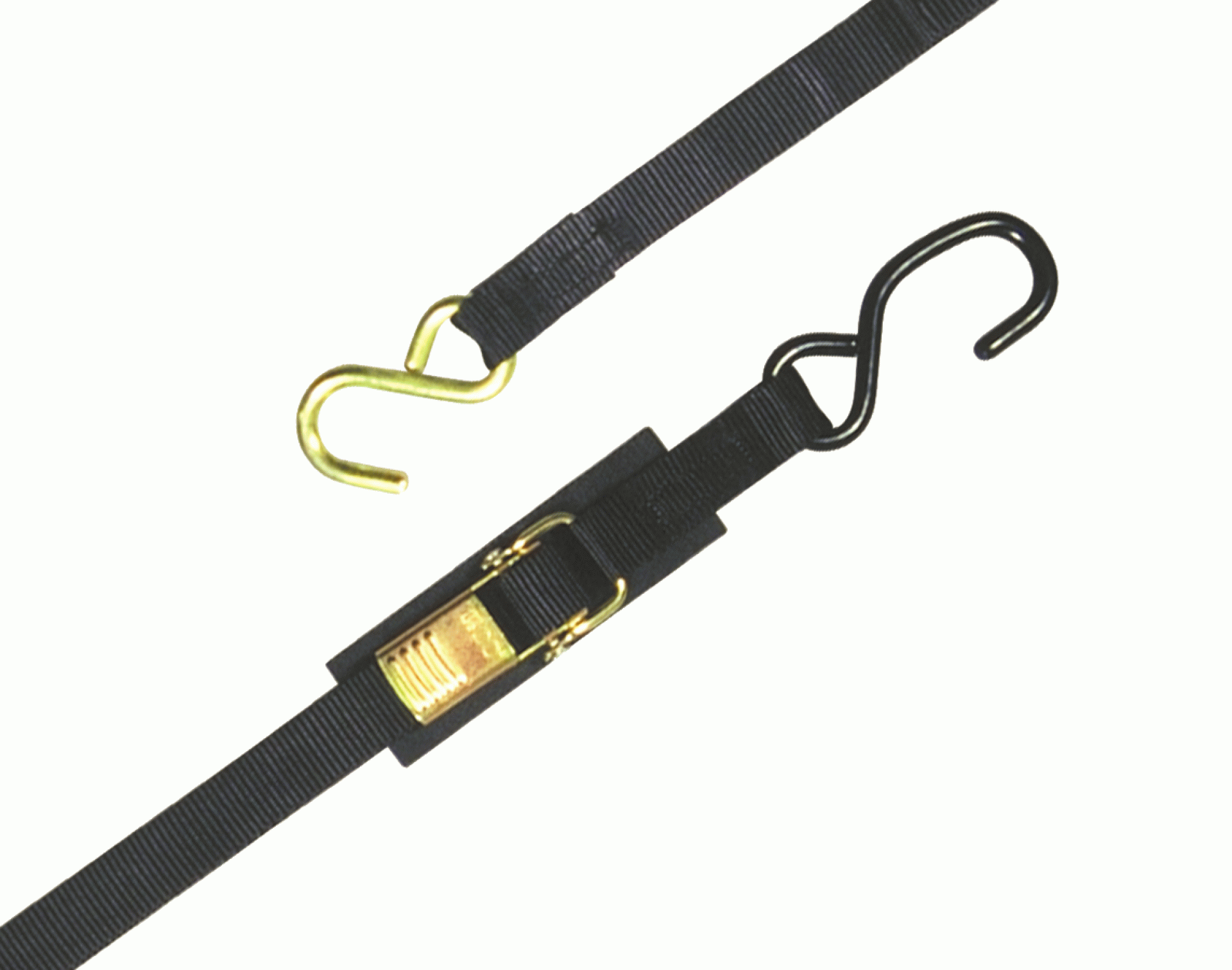 BoatBuckle | F13111 | TRANSOM TIE DOWN 2" X 4' VALUE SERIES