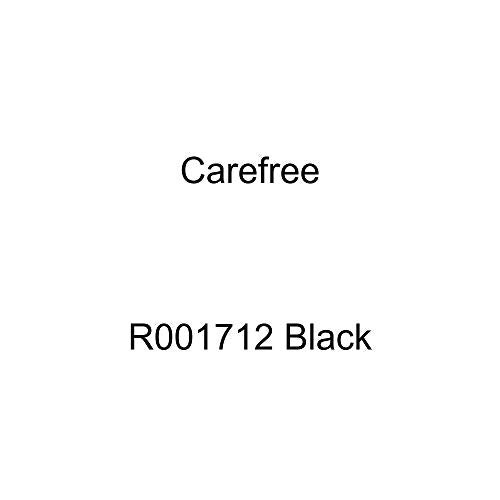 Carefree (R001712 Black) Black Left Handed Freestyle Motor Assembly for Awning