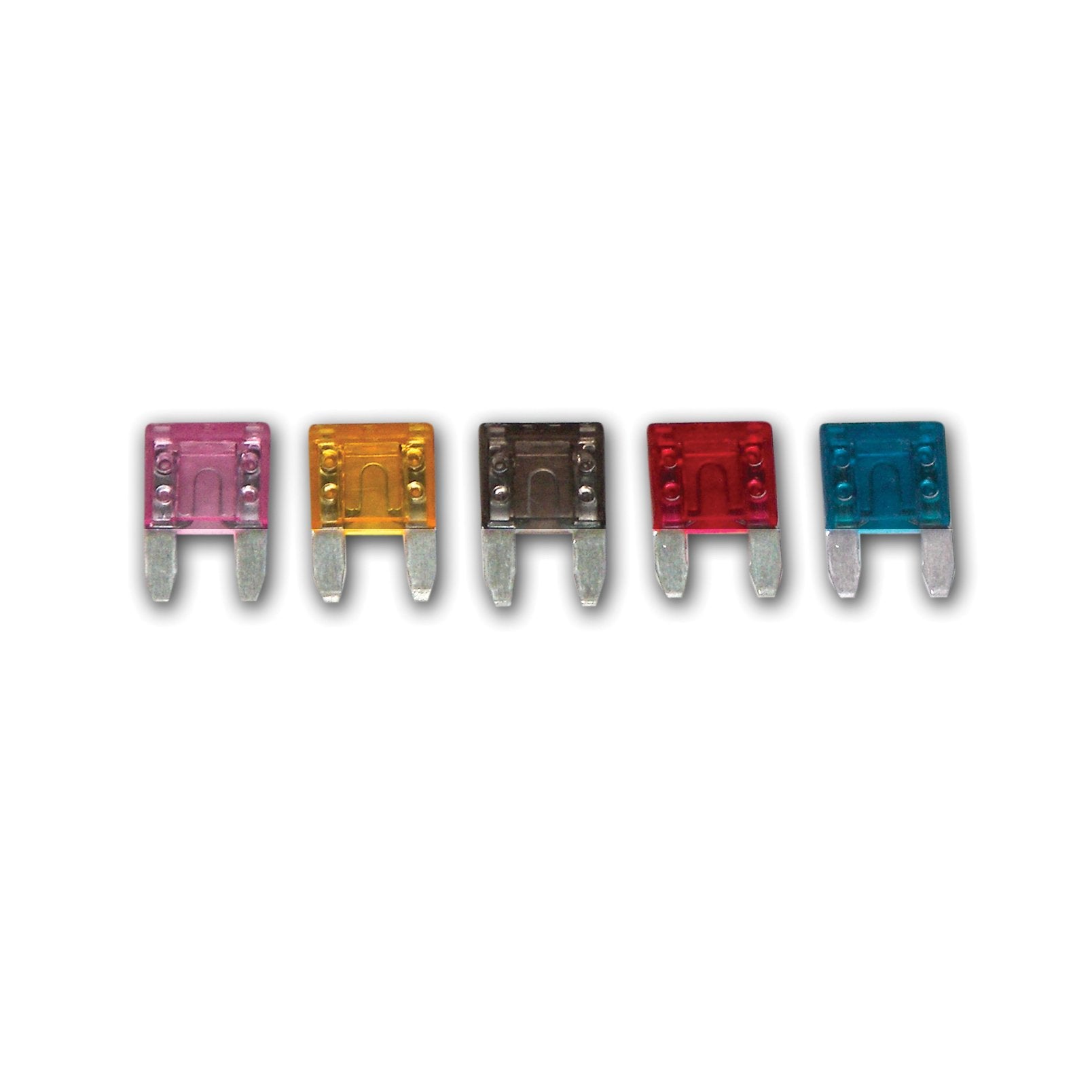 WirthCo 24100 Battery Doctor ATM LED Mini-Fuse, (Pack of 5)